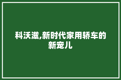 科沃滋,新时代家用轿车的新宠儿