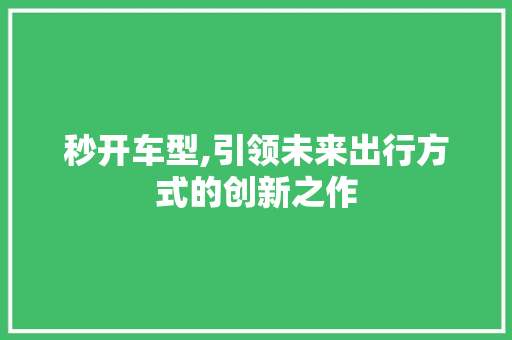 秒开车型,引领未来出行方式的创新之作