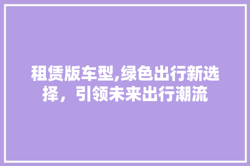 租赁版车型,绿色出行新选择，引领未来出行潮流