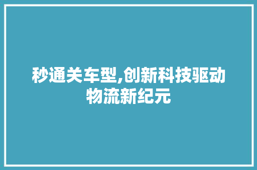 秒通关车型,创新科技驱动物流新纪元