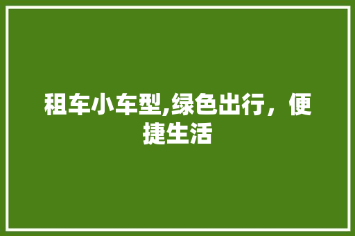 租车小车型,绿色出行，便捷生活