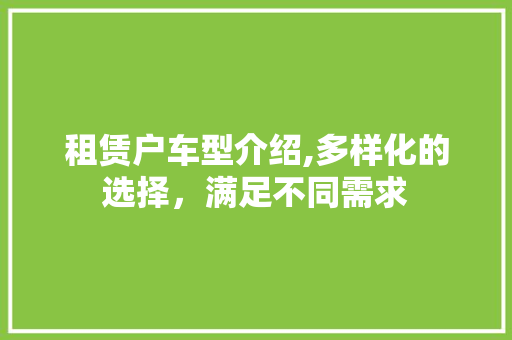 租赁户车型介绍,多样化的选择，满足不同需求