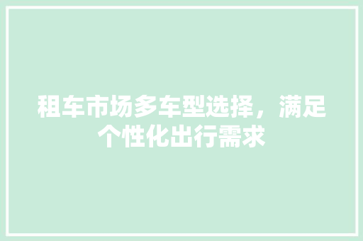租车市场多车型选择，满足个性化出行需求