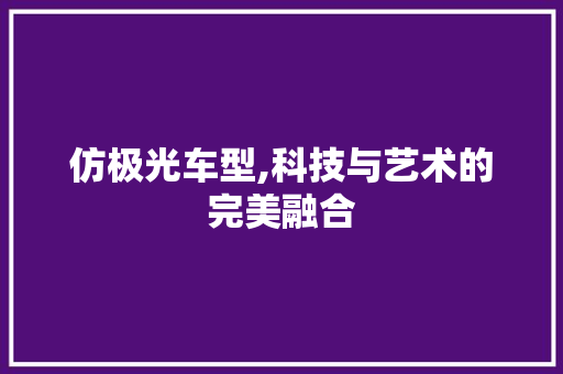 仿极光车型,科技与艺术的完美融合