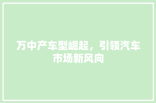 万中产车型崛起，引领汽车市场新风向