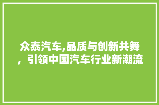 众泰汽车,品质与创新共舞，引领中国汽车行业新潮流
