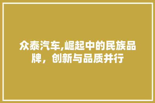 众泰汽车,崛起中的民族品牌，创新与品质并行