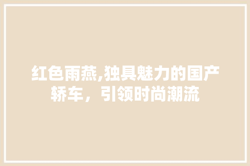 红色雨燕,独具魅力的国产轿车，引领时尚潮流