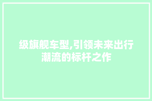 级旗舰车型,引领未来出行潮流的标杆之作