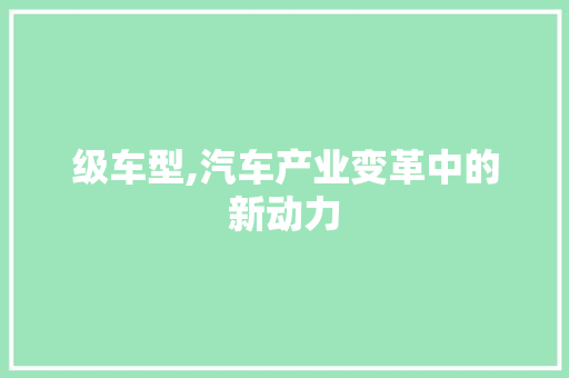 级车型,汽车产业变革中的新动力