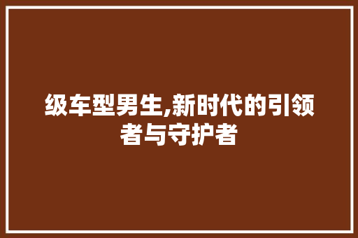 级车型男生,新时代的引领者与守护者