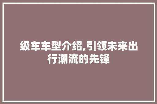 级车车型介绍,引领未来出行潮流的先锋