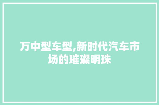 万中型车型,新时代汽车市场的璀璨明珠