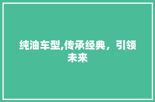 纯油车型,传承经典，引领未来