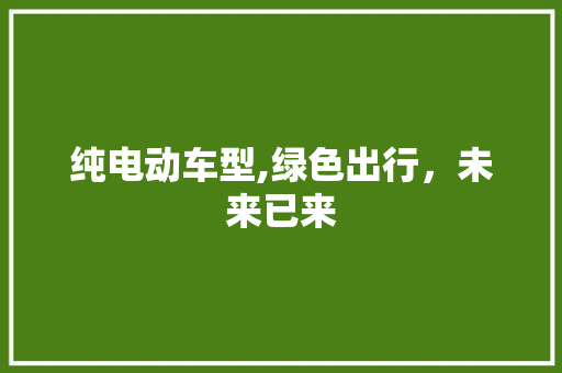 纯电动车型,绿色出行，未来已来