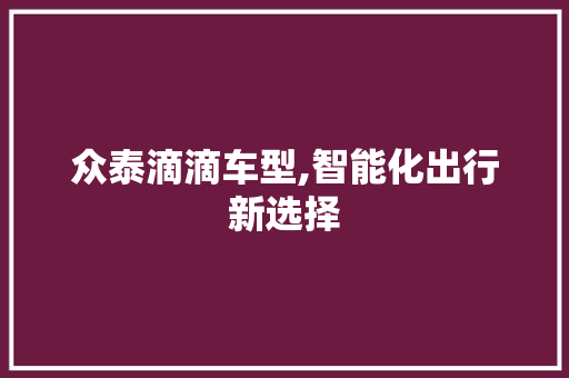 众泰滴滴车型,智能化出行新选择