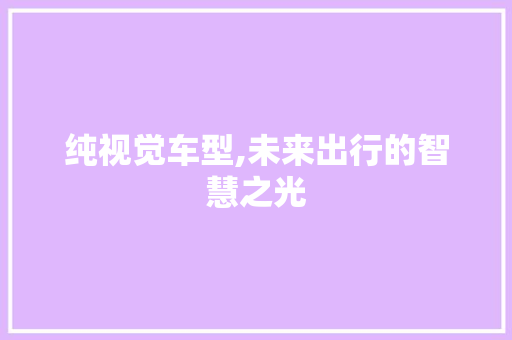 纯视觉车型,未来出行的智慧之光
