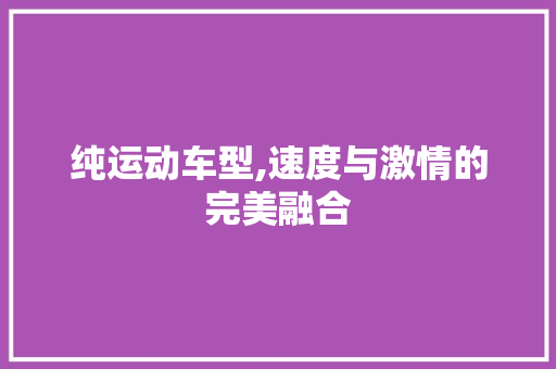 纯运动车型,速度与激情的完美融合