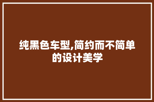 纯黑色车型,简约而不简单的设计美学