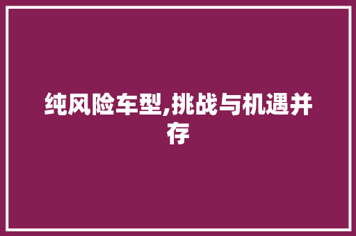 纯风险车型,挑战与机遇并存