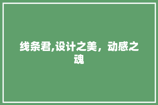 线条君,设计之美，动感之魂