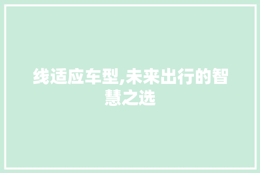 线适应车型,未来出行的智慧之选