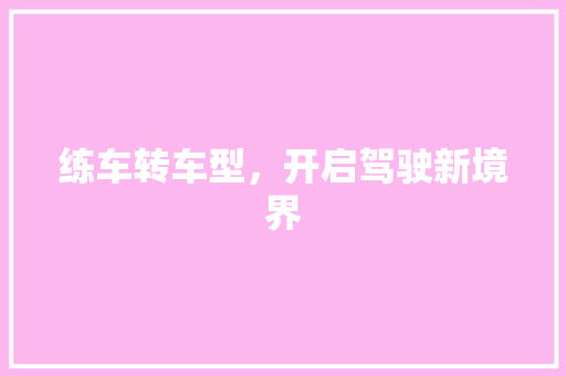 练车转车型，开启驾驶新境界