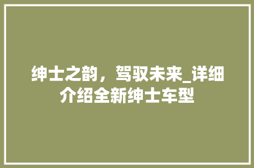 绅士之韵，驾驭未来_详细介绍全新绅士车型