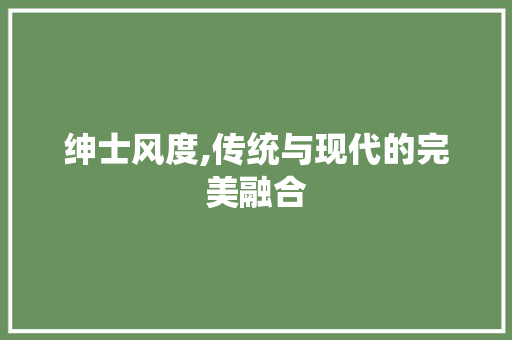 绅士风度,传统与现代的完美融合