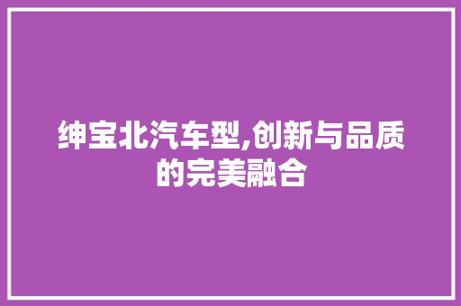 绅宝北汽车型,创新与品质的完美融合