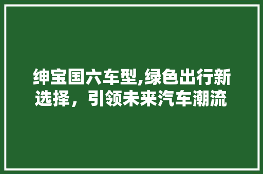 绅宝国六车型,绿色出行新选择，引领未来汽车潮流