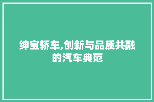 绅宝轿车,创新与品质共融的汽车典范