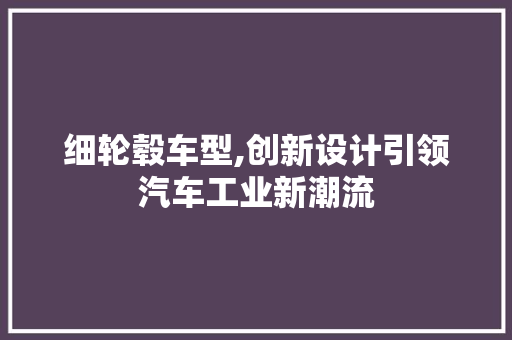 细轮毂车型,创新设计引领汽车工业新潮流