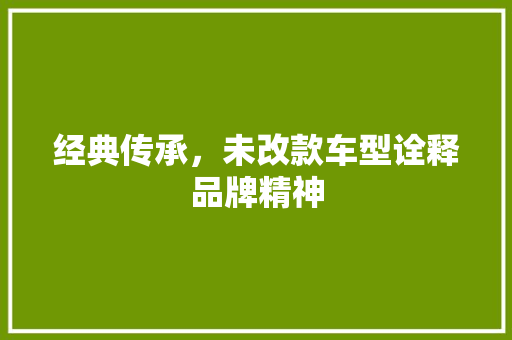 经典传承，未改款车型诠释品牌精神