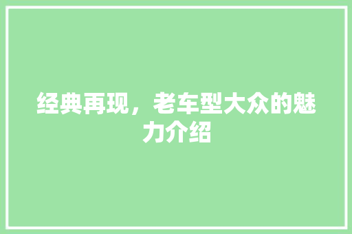 经典再现，老车型大众的魅力介绍