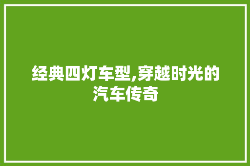 经典四灯车型,穿越时光的汽车传奇