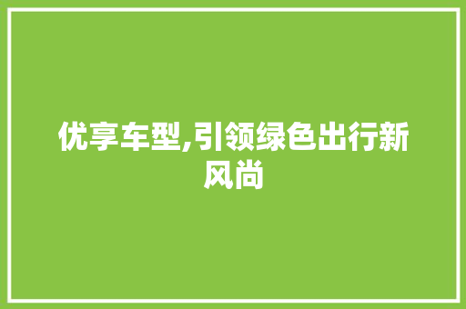 优享车型,引领绿色出行新风尚