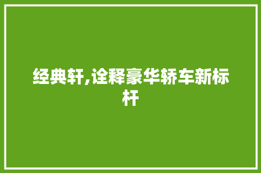 经典轩,诠释豪华轿车新标杆 新款车型