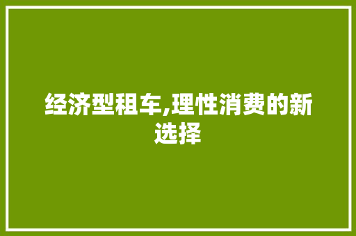 经济型租车,理性消费的新选择