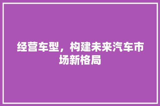 经营车型，构建未来汽车市场新格局