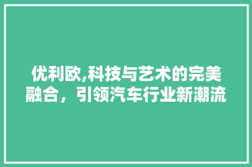 优利欧,科技与艺术的完美融合，引领汽车行业新潮流