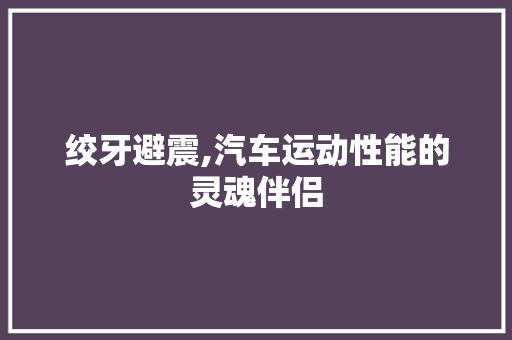 绞牙避震,汽车运动性能的灵魂伴侣 汽车配件