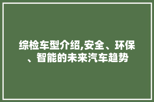 综检车型介绍,安全、环保、智能的未来汽车趋势
