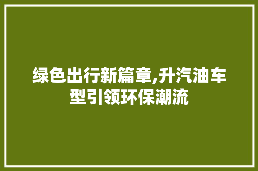 绿色出行新篇章,升汽油车型引领环保潮流