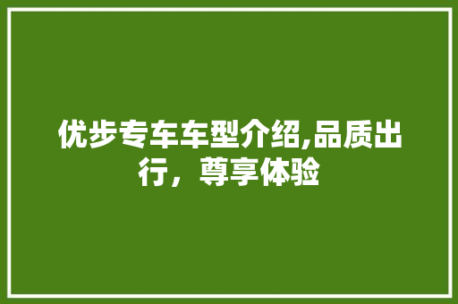 优步专车车型介绍,品质出行，尊享体验