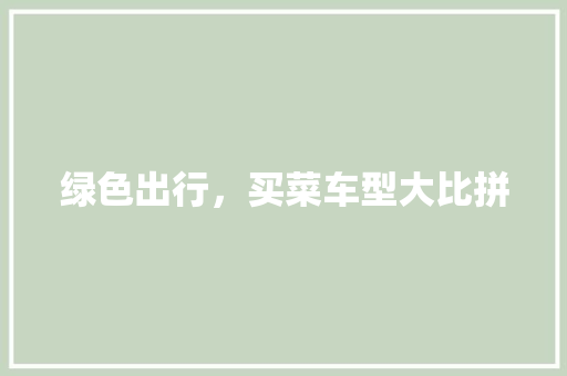 绿色出行，买菜车型大比拼