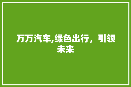 万万汽车,绿色出行，引领未来