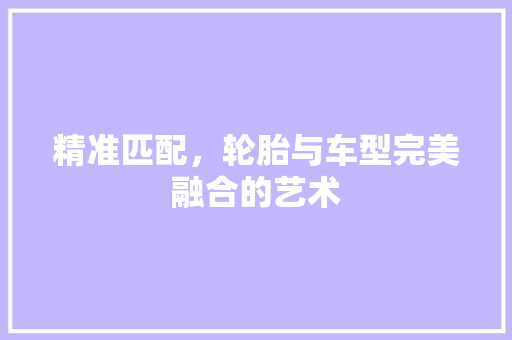 精准匹配，轮胎与车型完美融合的艺术