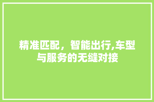 精准匹配，智能出行,车型与服务的无缝对接