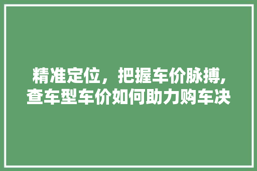 精准定位，把握车价脉搏,查车型车价如何助力购车决策